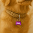 Individuelle Marke Knochen